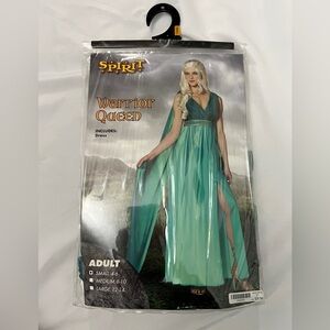 Spirit Teal and Gold Warrior Costume